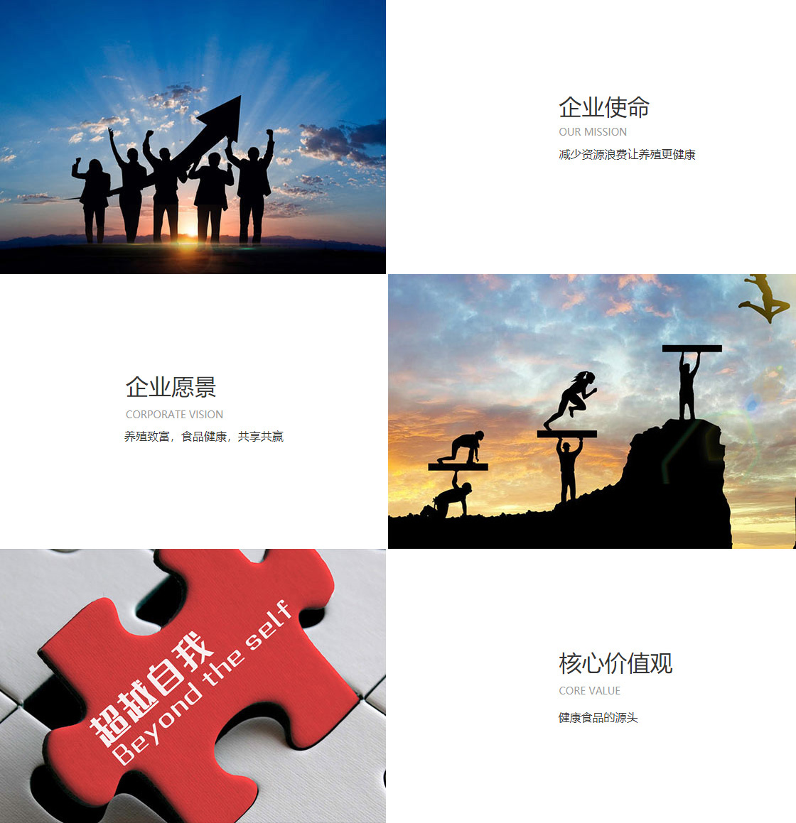 半岛·官方站线登入页面(图1)