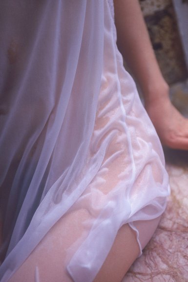 广东省国有林场和森林公园管理局挂牌成立|半岛online(中国)